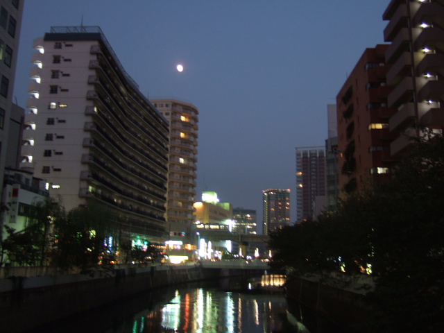 f0033986_1519691.jpg