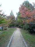 c0097806_3244892.jpg