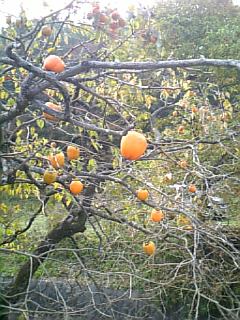 崖っぷちで食った美味しいもの　上州・紅葉狩りの旅　（５）_e0016828_22153182.jpg