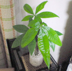 f0030429_125156.jpg
