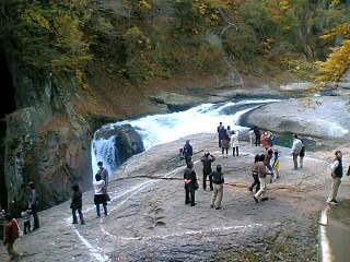 e0069647_18414762.jpg