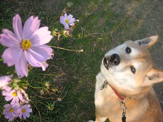 今年最後の～♪_c0049950_9455685.jpg