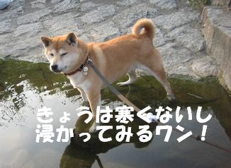 今年最後の~♪_c0049950_953323.jpg