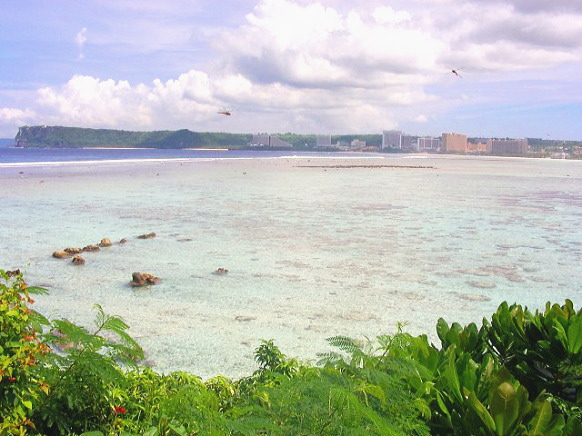 c0043751_13435216.jpg