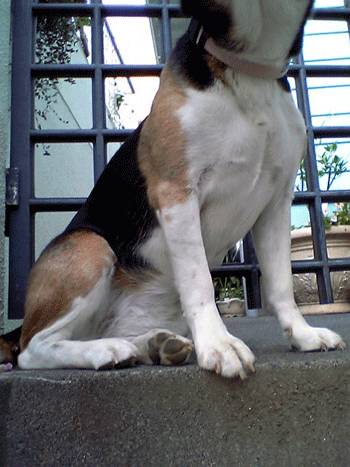 b0005652_1911790.gif