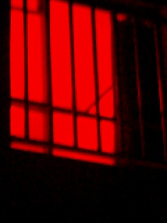 e0081753_41271.jpg