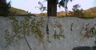 e0001954_0092.jpg