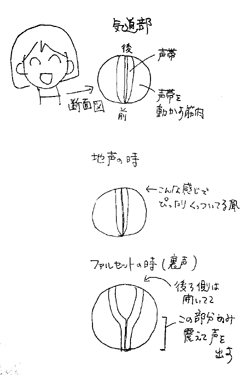 Webラジオ】川上とも子のうさぎのみみたぶ 第406～438回 : seiyu