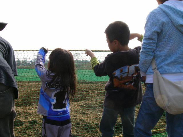 b0024266_236422.jpg