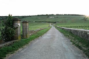 Romanee Conti_f0072767_192665.jpg