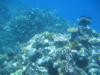 a0086274_1041282.jpg