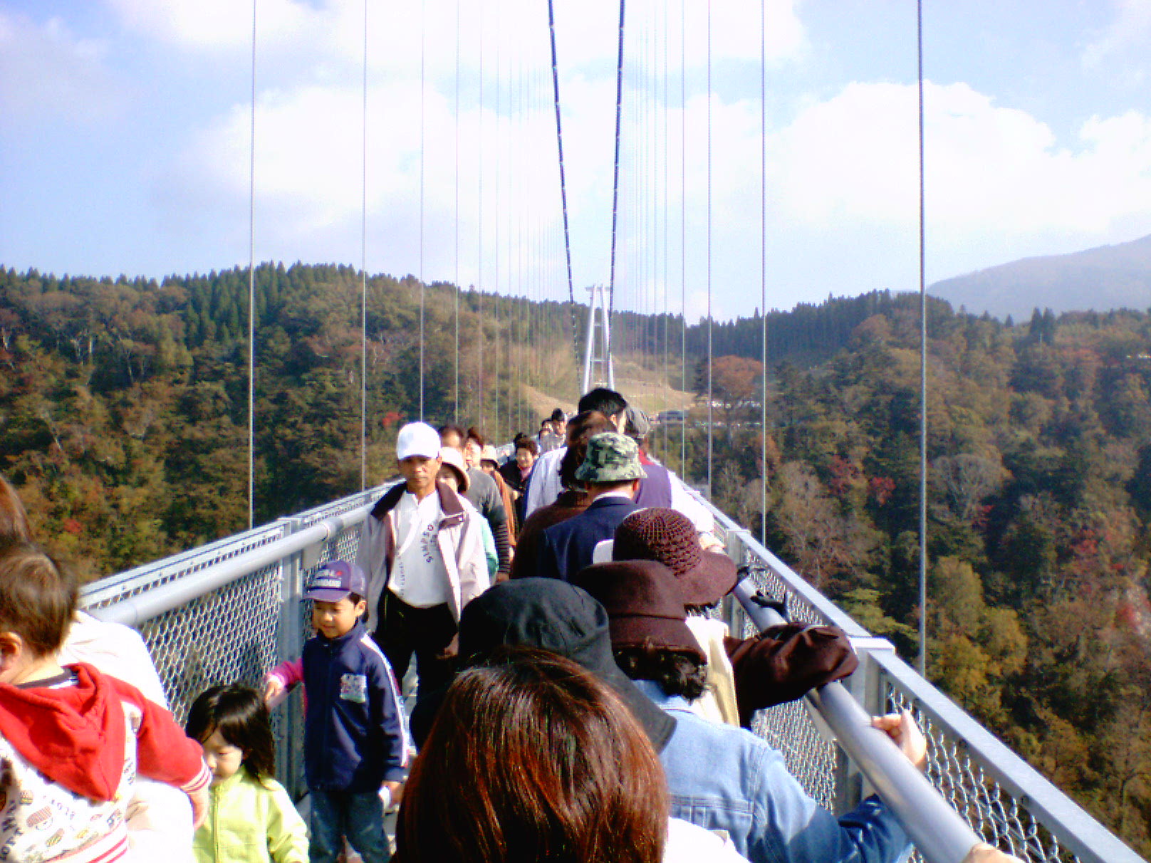 九重のつり橋と鹿児島の黒豚と…_c0060076_222827.jpg