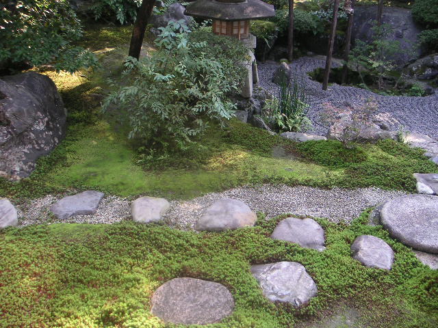 d0068879_1558173.jpg