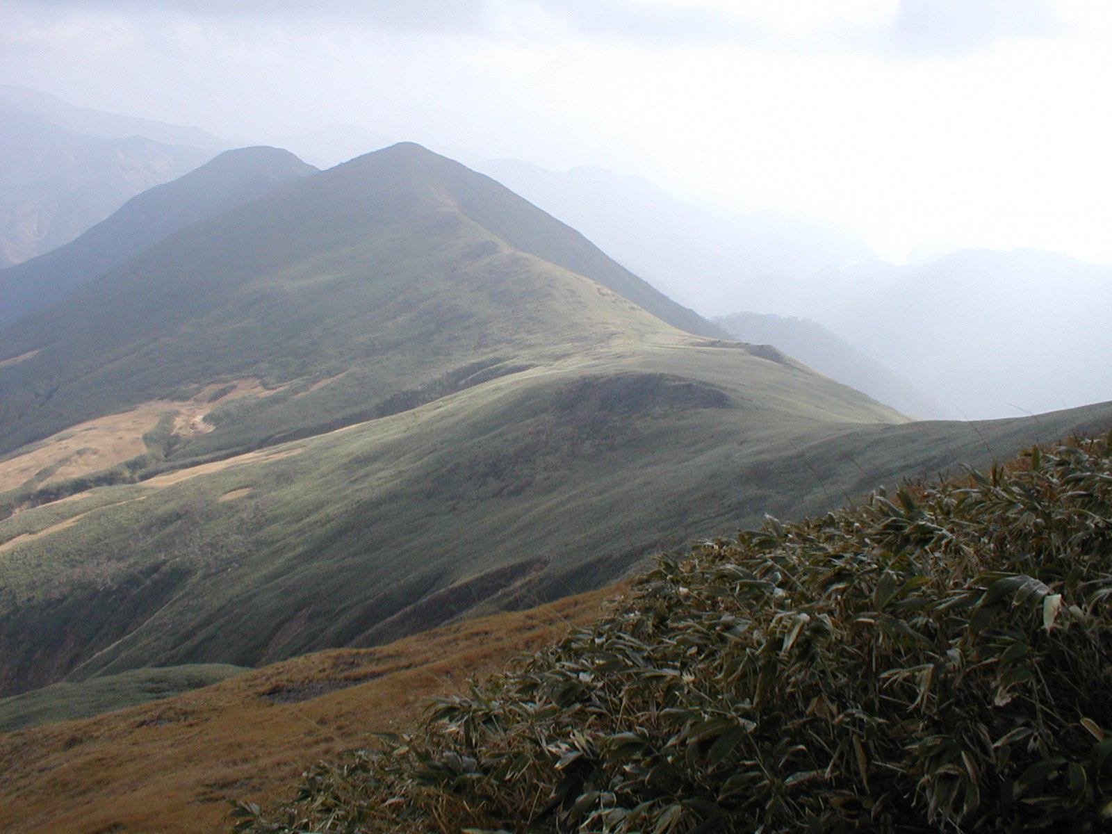 a0094280_2371419.jpg