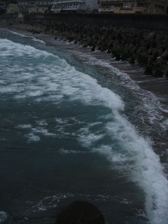 2006年11月6日 熱川ツアー _b0098584_2228518.jpg