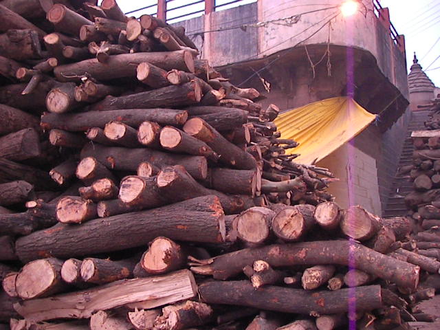 f0038407_2433917.jpg