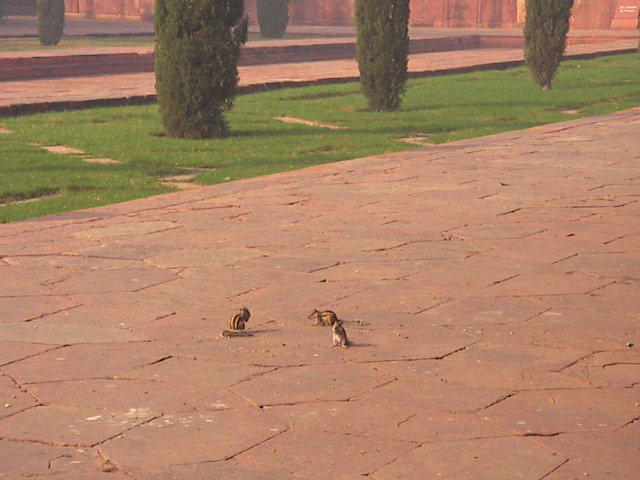 f0038407_259980.jpg