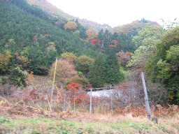 紅葉終わって・・・冬支度。_f0054809_11202023.jpg