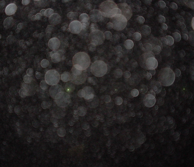 a0043512_21511240.jpg