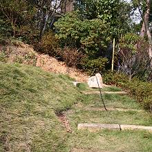 c0028424_1483489.jpg