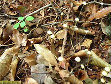d0023725_12545360.jpg
