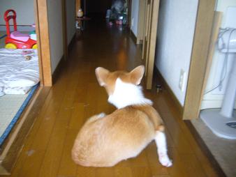 c0086026_133428.jpg