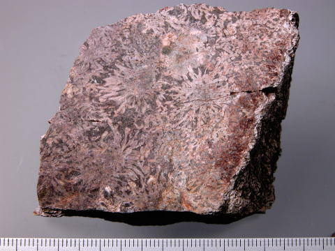 d0045626_19495532.jpg