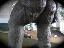 *業務連絡:土が搬入されました!! 明日はゴリラ公園コース整備に大集合だよ!_b0065730_5214193.jpg