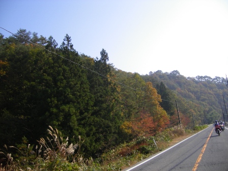 f0000330_103291.jpg