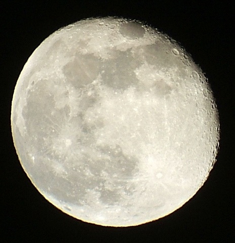e0089232_21224967.jpg