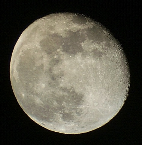 e0089232_2127040.jpg