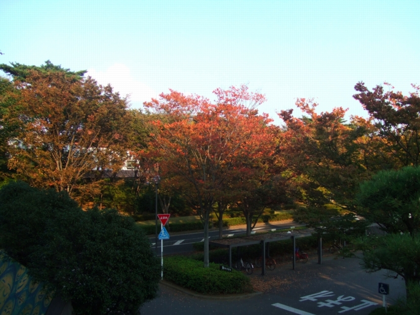 a0072337_19233089.jpg