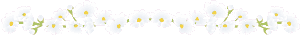 a0050838_172022.gif