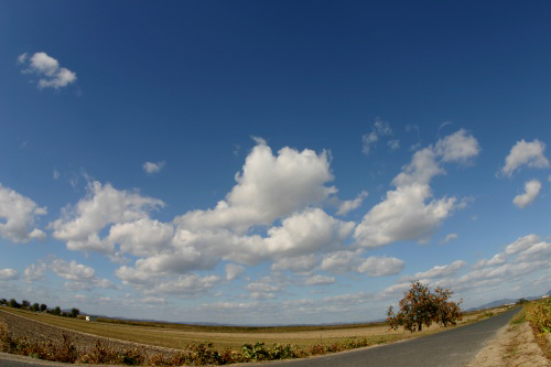 今日の空_d0090744_21271640.jpg