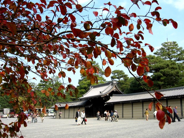 b0009849_10202829.jpg