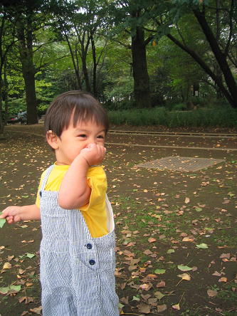 d0084758_1745.jpg
