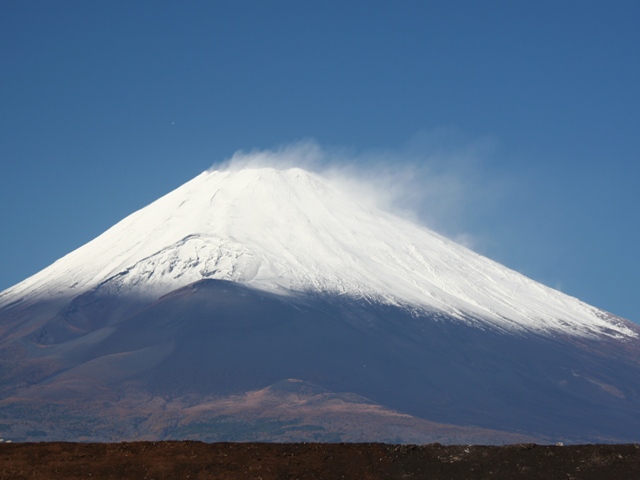 a0062959_1504421.jpg