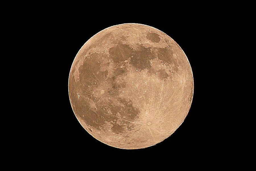 a0062959_1511773.jpg