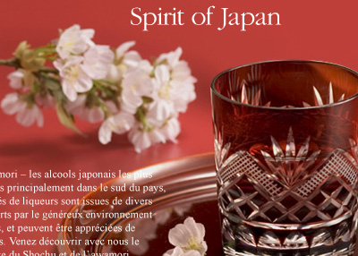 焼酎・泡盛 - JAPANESE SPIRITS_d0035061_1920577.jpg