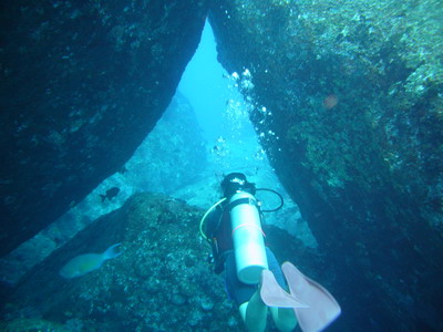 2006/10/24(火) - 1 Dive　No.357 - Ｅｌｅｐｈａｎｔ　Head Rock　[Similan]_a0002177_2261757.jpg