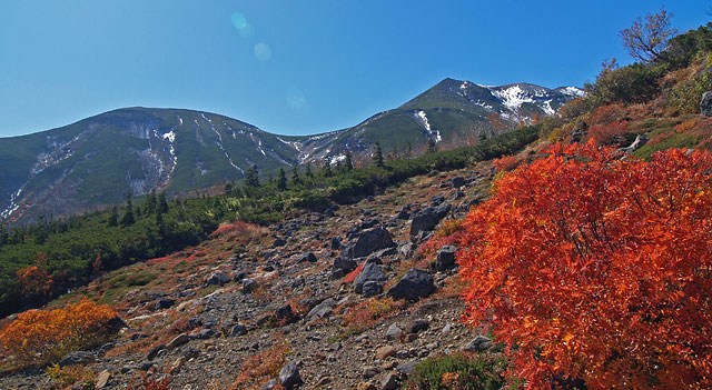 乗鞍岳の紅葉とホシガラス_b0096081_2145177.jpg