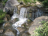 f0100194_20503560.jpg
