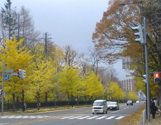 d0017205_1835712.jpg