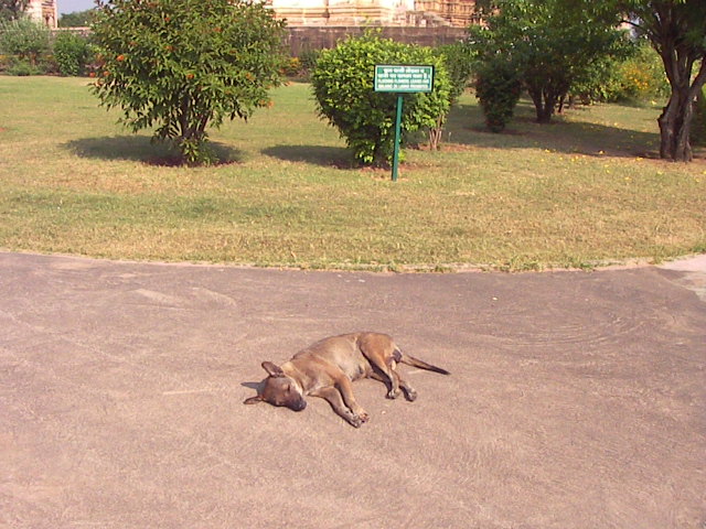 f0038407_2543629.jpg