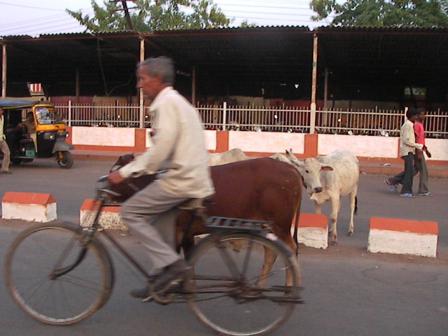 f0038407_316737.jpg