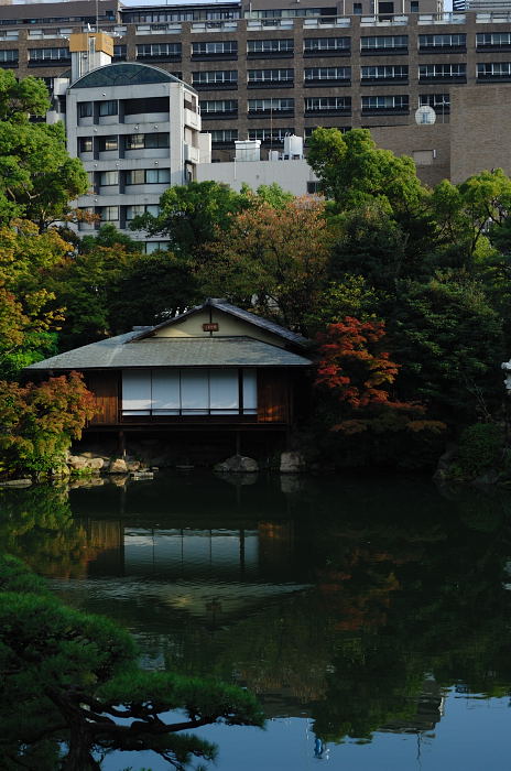 色々楽しめる相楽園・其の二日本庭園＆菊花展_f0032011_20312811.jpg