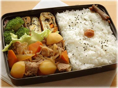 デストロイヤー肉じゃが弁当_d0045116_20304939.jpg