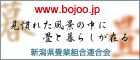 b0091423_20334271.gif