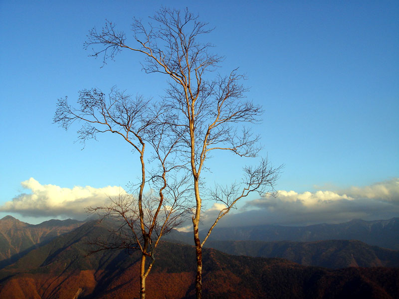 c0009224_2130868.jpg