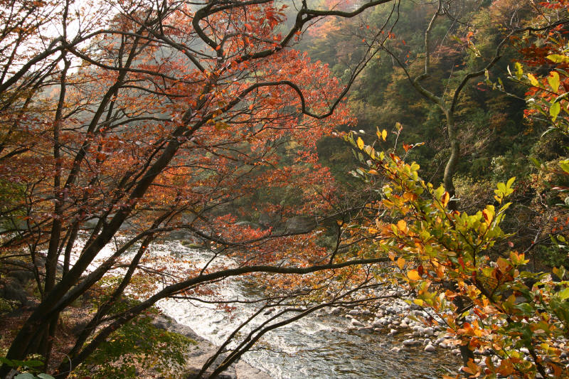 水上－利根川・諏訪峡遊歩道 _f0017530_21461357.jpg